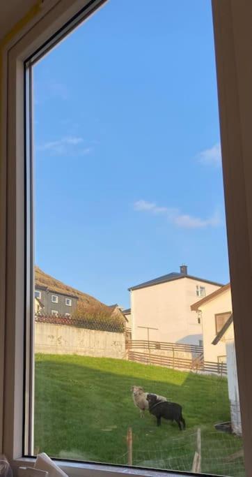 Cozy Apartment In Клаксвуйк Экстерьер фото